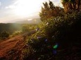 Camping in Knuckles Peak Trail (Private 1-Night)