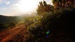 Camping in Knuckles Peak Trail (Private 1-Night)