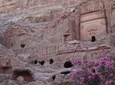 Private Tour Petra and Shobak Castle from Amman