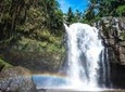Private Tour: Best Ubud Waterfall with Tukad Cepung and Tibumana Waterfall