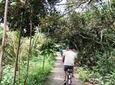 Private tour: the Cai Be Floating Market and Biking tour in Mekong Delta