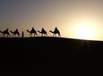 Private tour to Giza pyramids and Sphinx including sunrise camel ride