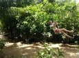 Private tour to Mekong Delta 1 day