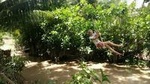 Private tour to Mekong Delta 1 day