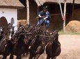 Horse show with lunch near Budapest with private transport