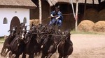 Horse show with lunch near Budapest with private transport