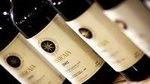 Suvereto Wine Experiece Private Tour from Siena