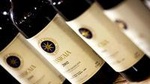 San Gimignano Volterra and Bolgheri Supertuscans Wine PRIVATE TOUR from Florence