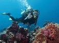 Scuba Diving from Marmaris Area