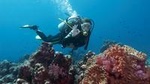 Scuba Diving from Marmaris Area