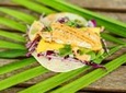 Seafood Lover's Food Tasting and Cultural Walking Tour