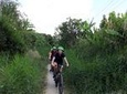 EXPERIENCE THE MEKONG COUNTRYSIDE BY BIKE & BOAT TWO DAYS