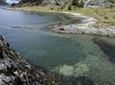 Half-Day Small-Group Tierra del Fuego National Park Tour