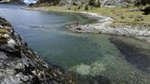 Half-Day Small-Group Tierra del Fuego National Park Tour