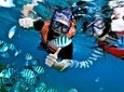 Hon Mun Island Half-Day Snorkeling Guided Tour from Nha Trang