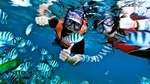 Hon Mun Island Half-Day Snorkeling Guided Tour from Nha Trang