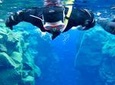 Snorkeling Tours from Safaga Port
