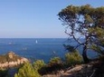 St Tropez and around