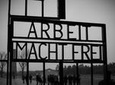 From Berlin: Memorial and Museum Sachsenhausen Guided Tour