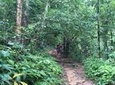 Trekking at the Monk Trail and Doi Suthep Temple Private Tour 