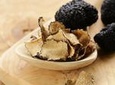 Tuscan Walk and Hunt for Truffles