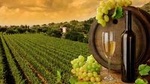 Ultimate Wine Country and Niagara Falls