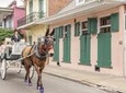 Private Carriage Tour of French Quarter in New Orleans