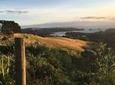Waiheke Island Te Ara Hura 5-Day Walking Package