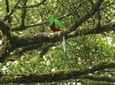 Walking Reserve Curi-Cancha