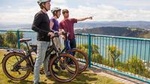 Wellington Electric Bike Tour