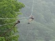 Zipline and Canal Tour