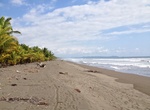 Visit Playa Palo Seco, Costa Rica