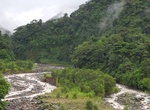 Explore Braulio Carrillo National Park, Costa Rica