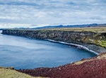 Birding at Krýsuvíkurbjarg Cliffs, Iceland