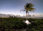 Camp at ʻĀpua Point, Hawaii
