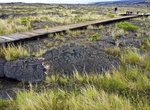 See Pu'u Loa Petroglyphs, Hawaii Volcanoes National Park, Big Island, Hawaii