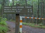 Hike Snake Den Ridge Trail, Great Smoky Mountains, Tennessee