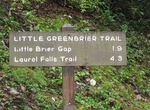 Hike Little Greenbrier Trail, Great Smoky Mountains, Tennessee