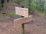 Hike Little Brier Gap Trail, Great Smoky Mountains, Tennessee