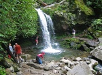 Hike Trillium Gap Trail to Grotto Falls, Great Smoky Mountains National Park