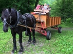 Go on Smokemont Wagon Ride, Great Smoky Mountains National Park, North Carolina
