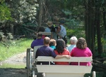 Go on Cades Cove Carriage Ride, Great Smoky Mountains National Park, Tennessee