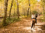 Go on Guided Horseback Ride in Great Smoky Mountains National Park
