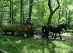Go on Cades Cove Hayrides, Great Smoky Mountains National Park, Tennessee