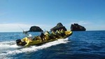 1-Hour Small Group Sightseeing Boat Tour in Vestmannaeyjar