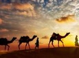 12-day Private Tour: Rajasthan and Camel Safari