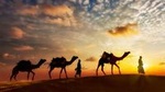 12-day Private Tour: Rajasthan and Camel Safari