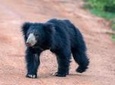 Wild Wonders & Sacred Spaces Tour from Galle (2 Day Private Tour)