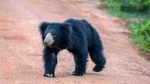 Wild Wonders & Sacred Spaces Tour from Galle (2 Day Private Tour)