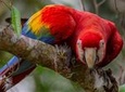 3 Day - Posada Amazonas Classic Program Group Tour